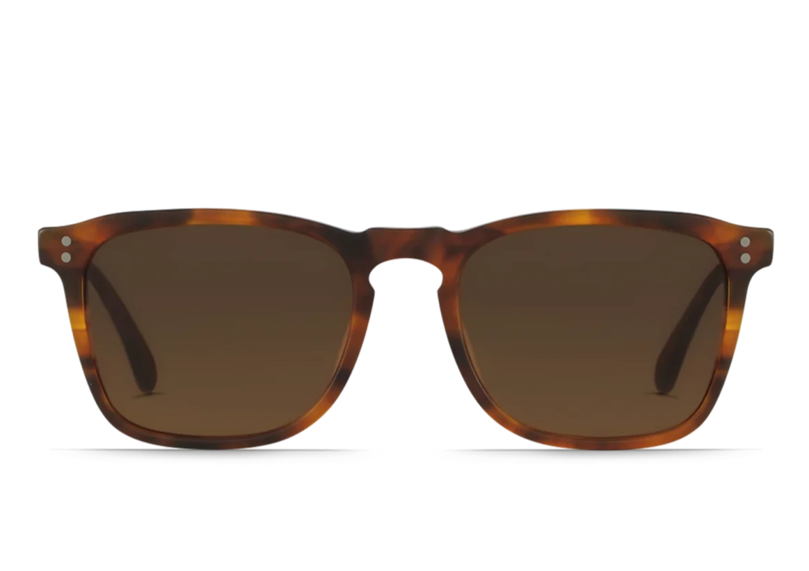 WILEY Men's Square Sunglasses (MATTE ROOTBEER)
