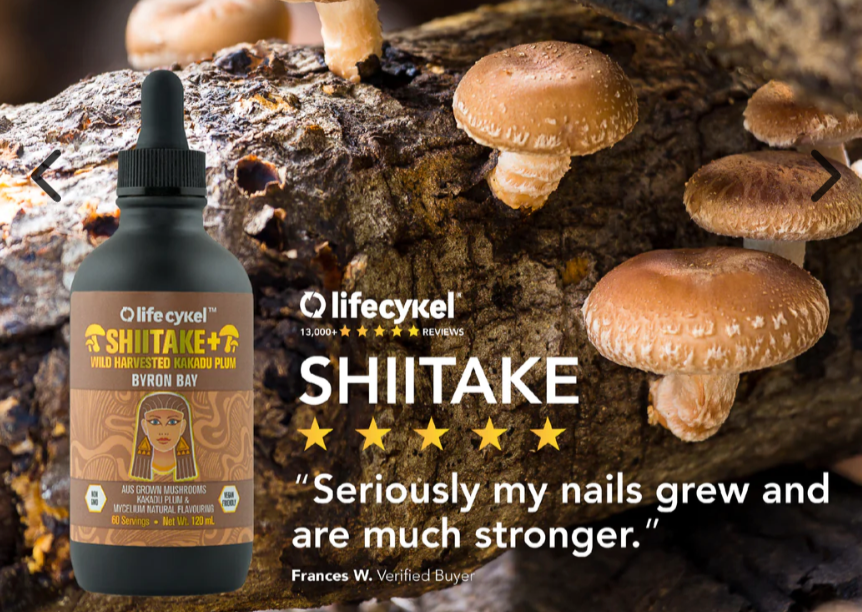 Shiitake Mushroom Extract - 60ml