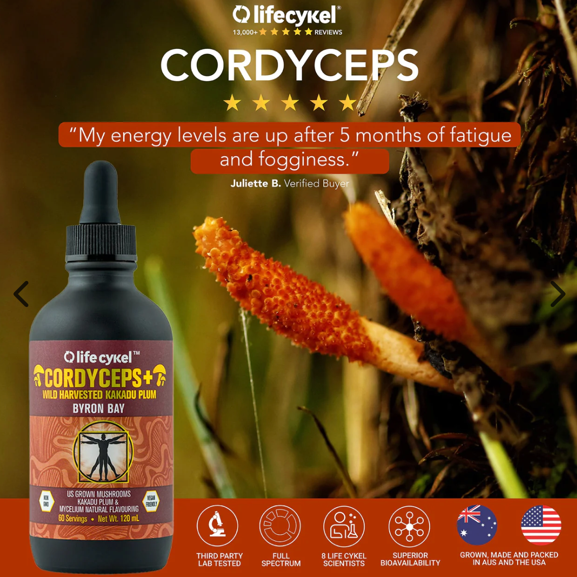 Cordyceps Mushroom Extract