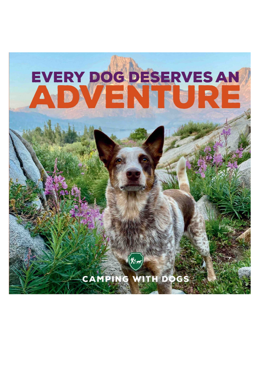 Every Dog Deserves an Adventure
