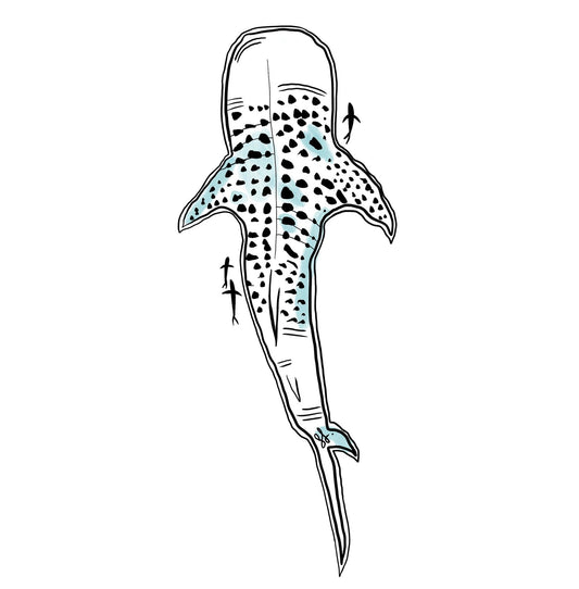 LARGE Clear Decal Sticker Art - Whale Shark (Black)